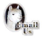 Email

Us